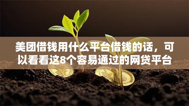 美团借钱用什么平台借钱的话,可以看看这8个容易通过的网贷平台 美团借钱用什么平台借钱的话,可以看看这8个容易通过的网贷平台