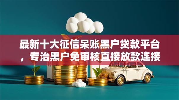 最新十大征信呆账黑户贷款平台，专治黑户免审核直接放款连接