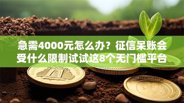 急需4000元怎么办？征信呆账会受什么限制试试这8个无门槛平台