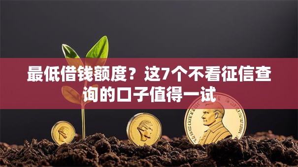 最低借钱额度?这7个不看征信查询的口子值得一试 最低借钱额度?这7个不看征信查询的口子值得一试