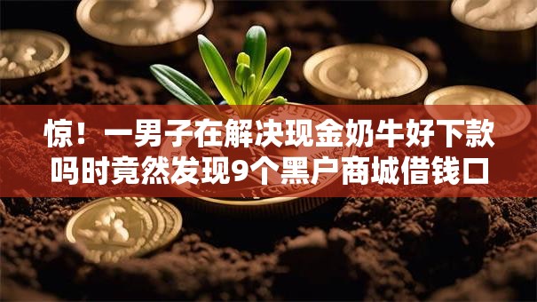 惊！一男子在解决现金奶牛好下款吗时竟然发现9个黑户商城借钱口子，事后分享了出来