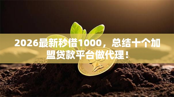 2026最新秒借1000，总结十个加盟贷款平台做代理！