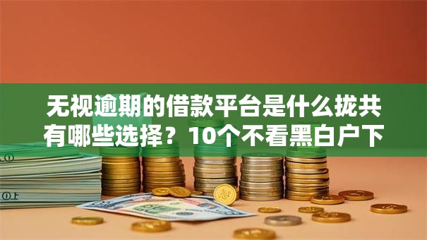 无视逾期的借款平台是什么拢共有哪些选择？10个不看黑白户下款的网贷详解