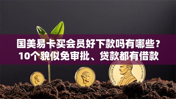 国美易卡买会员好下款吗有哪些?10个貌似免审批、贷款都有借款平台合集 国美易卡买会员好下款吗有哪些?10个貌似免审批、贷款都有借款平台合集