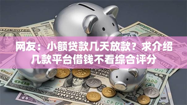 网友：小额贷款几天放款？求介绍几款平台借钱不看综合评分