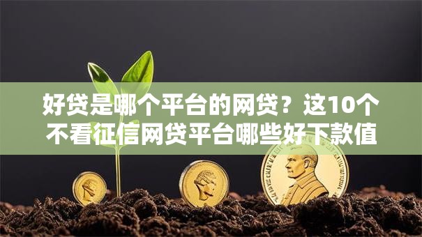 好贷是哪个平台的网贷？这10个不看征信网贷平台哪些好下款值得一试