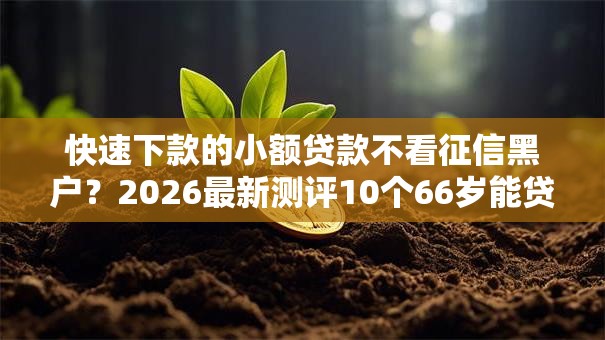 快速下款的小额贷款不看征信黑户？2026最新测评10个66岁能贷款的平台