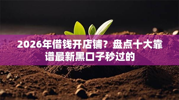 2026年借钱开店铺？盘点十大靠谱最新黑口子秒过的