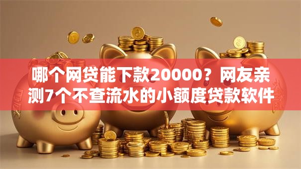 哪个网贷能下款20000？网友亲测7个不查流水的小额度贷款软件盘点