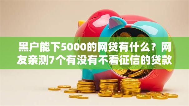 黑户能下5000的网贷有什么？网友亲测7个有没有不看征信的贷款平台盘点