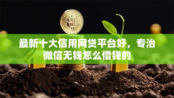 最新十大信用网贷平台好，专治微信无钱怎么借钱的