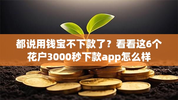 都说用钱宝不下款了？看看这6个花户3000秒下款app怎么样