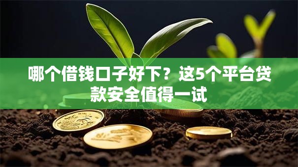 哪个借钱口子好下？这5个平台贷款安全值得一试