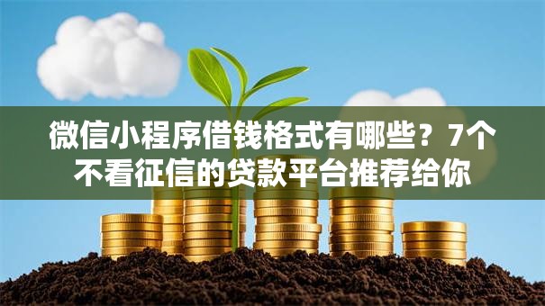 微信小程序借钱格式有哪些?7个不看征信的贷款平台推荐给你 微信小程序借钱格式有哪些?7个不看征信的贷款平台推荐给你