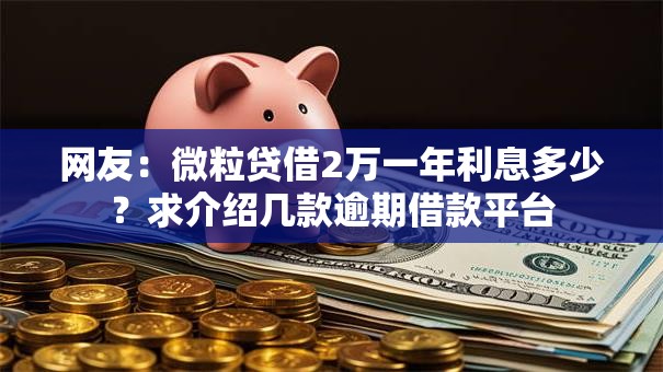 网友：微粒贷借2万一年利息多少？求介绍几款逾期借款平台