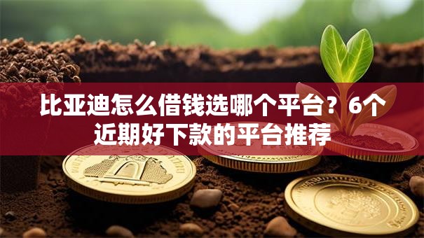 比亚迪怎么借钱选哪个平台？6个近期好下款的平台推荐