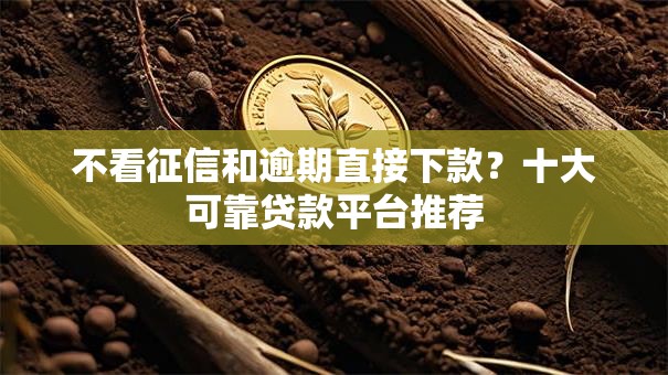 不看征信和逾期直接下款？十大可靠贷款平台推荐