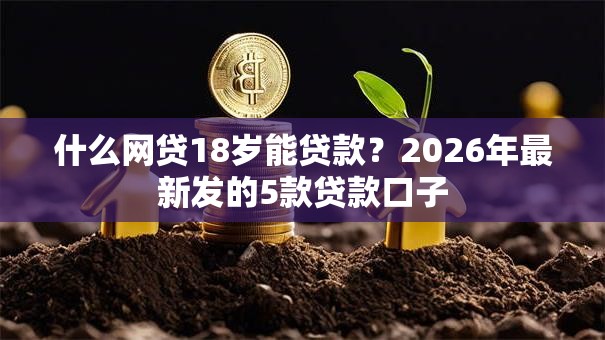 什么网贷18岁能贷款？2026年最新发的5款贷款口子
