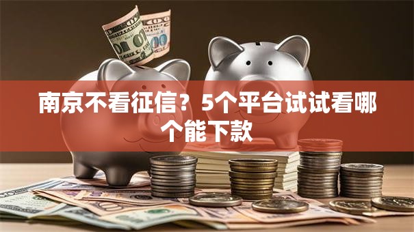 南京不看征信?5个平台试试看哪个能下款 南京不看征信?5个平台试试看哪个能下款