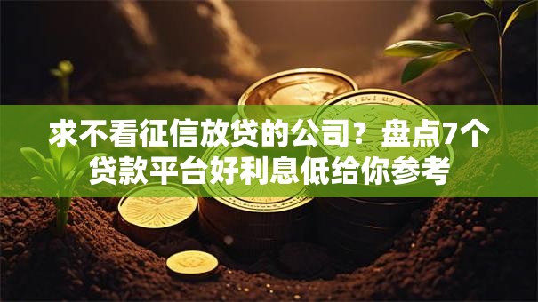 求不看征信放贷的公司？盘点7个贷款平台好利息低给你参考
