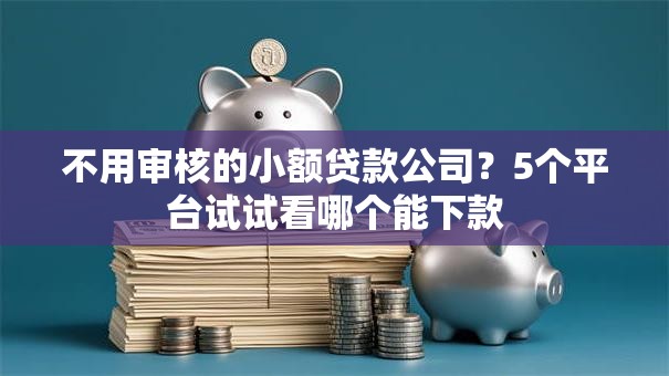 不用审核的小额贷款公司？5个平台试试看哪个能下款