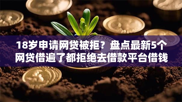 18岁申请网贷被拒？盘点最新5个网贷借遍了都拒绝去借款平台借钱