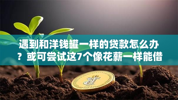 遇到和洋钱罐一样的贷款怎么办？或可尝试这7个像花薪一样能借30天的口子