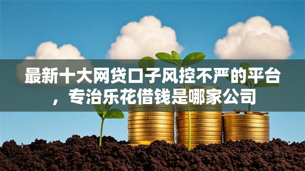 最新十大网贷口子风控不严的平台，专治乐花借钱是哪家公司
