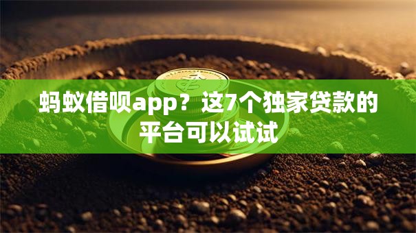 蚂蚁借呗app？这7个独家贷款的平台可以试试