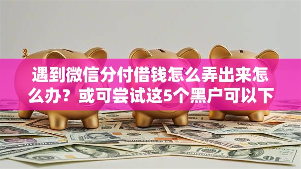 遇到微信分付借钱怎么弄出来怎么办？或可尝试这5个黑户可以下的贷款软件