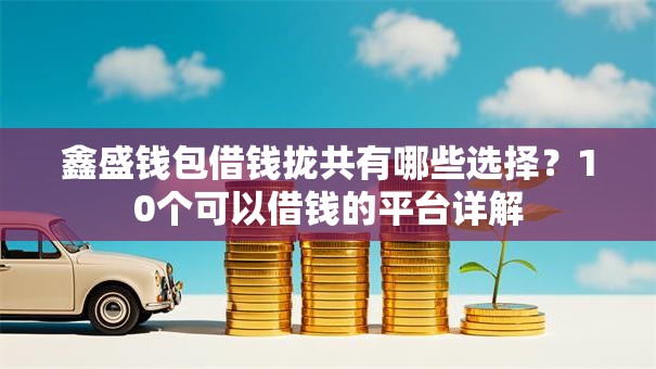 鑫盛钱包借钱拢共有哪些选择？10个可以借钱的平台详解