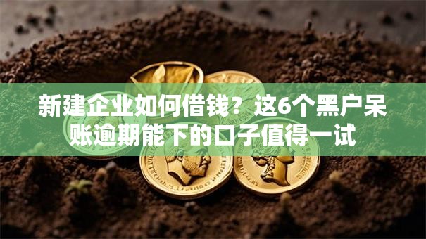 新建企业如何借钱?这6个黑户呆账逾期能下的口子值得一试 新建企业如何借钱?这6个黑户呆账逾期能下的口子值得一试