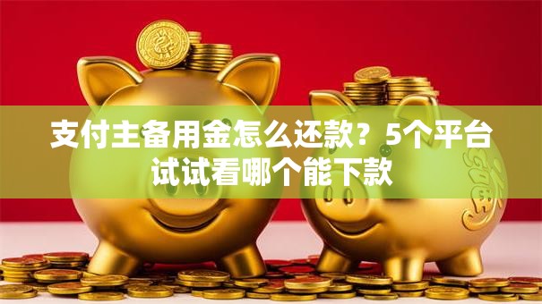 支付主备用金怎么还款？5个平台试试看哪个能下款