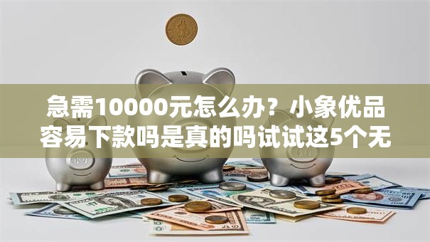 急需10000元怎么办?小象优品容易下款吗是真的吗试试这5个无门槛平台 急需10000元怎么办?小象优品容易下款吗是真的吗试试这5个无门槛平台