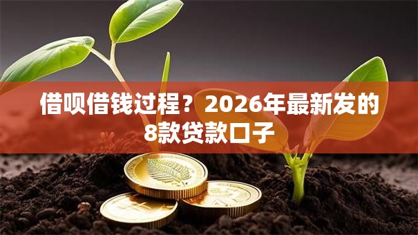 借呗借钱过程？2026年最新发的8款贷款口子