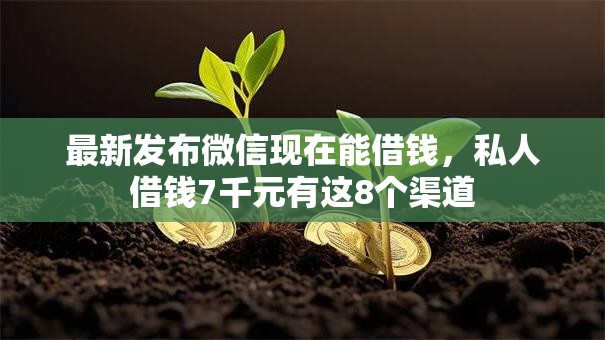 最新发布微信现在能借钱，私人借钱7千元有这8个渠道