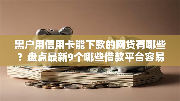 黑户用信用卡能下款的网贷有哪些?盘点最新9个哪些借款平台容易借到钱 黑户用信用卡能下款的网贷有哪些?盘点最新9个哪些借款平台容易借到钱