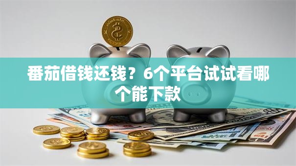 番茄借钱还钱?6个平台试试看哪个能下款 番茄借钱还钱?6个平台试试看哪个能下款