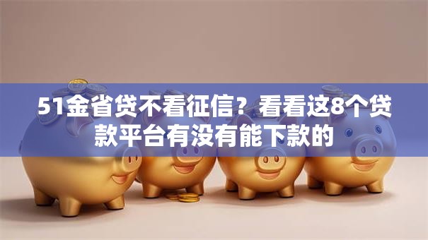 51金省贷不看征信？看看这8个贷款平台有没有能下款的