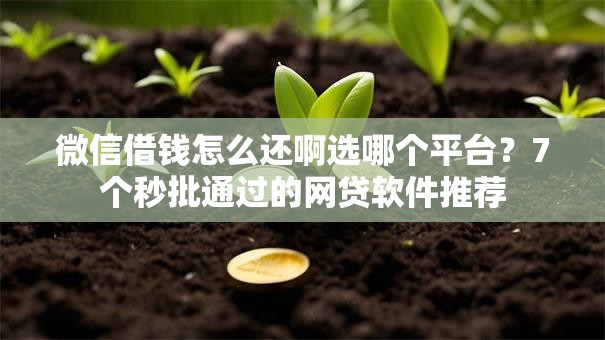 微信借钱怎么还啊选哪个平台？7个秒批通过的网贷软件推荐