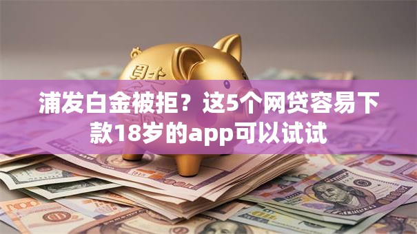 浦发白金被拒？这5个网贷容易下款18岁的app可以试试