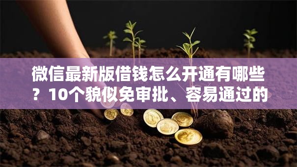 微信最新版借钱怎么开通有哪些？10个貌似免审批、容易通过的网贷平台合集