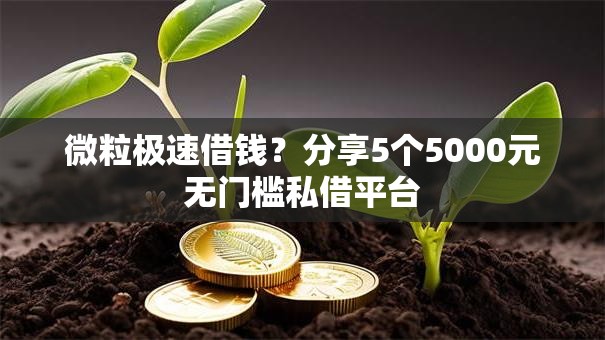 微粒极速借钱？分享5个5000元无门槛私借平台