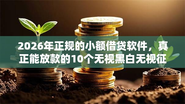 2026年正规的小额借贷软件，真正能放款的10个无视黑白无视征信申请就下款的平台推荐