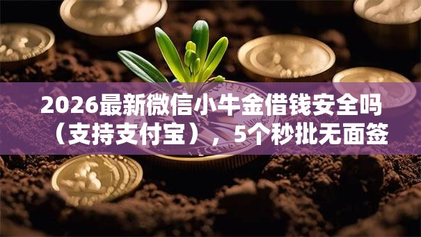 2026最新微信小牛金借钱安全吗（支持支付宝），5个秒批无面签贷款口子无私分享