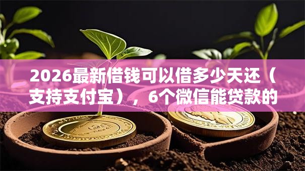 2026最新借钱可以借多少天还（支持支付宝），6个微信能贷款的平台无私分享