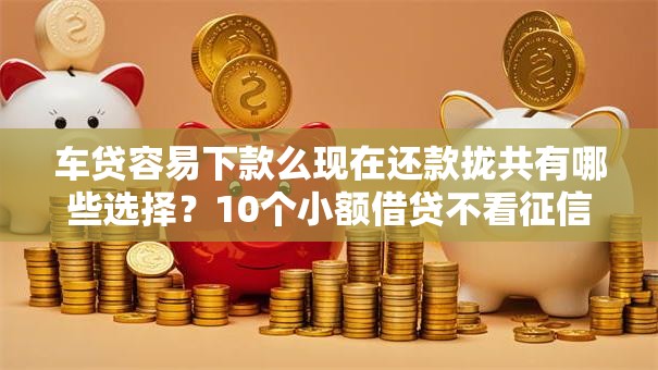 车贷容易下款么现在还款拢共有哪些选择？10个小额借贷不看征信的平台详解