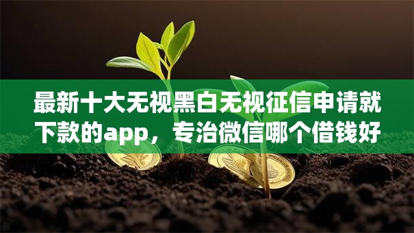 最新十大无视黑白无视征信申请就下款的app,专治微信哪个借钱好 最新十大无视黑白无视征信申请就下款的app,专治微信哪个借钱好