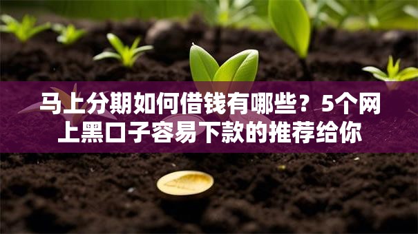 马上分期如何借钱有哪些?5个网上黑口子容易下款的推荐给你 马上分期如何借钱有哪些?5个网上黑口子容易下款的推荐给你