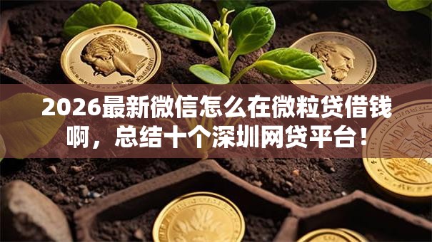 2026最新微信怎么在微粒贷借钱啊,总结十个深圳网贷平台! 2026最新微信怎么在微粒贷借钱啊,总结十个深圳网贷平台!